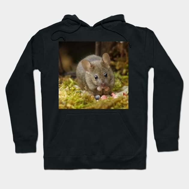 Wild  cute garden mouse Hoodie by Simon-dell